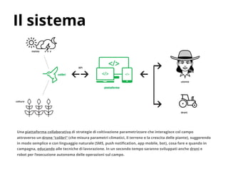 meteo
API
colture
utente
droni
colibrì
piattaforma
Il sistema
Una piattaforma collaborativa di strategie di coltivazione parametrizzare che interagisce col campo
attraverso un drone “colibri” (che misura parametri climatici, il terreno e la crescita delle piante), suggerendo
in modo semplice e con linguaggio naturale (SMS, push notification, app mobile, bot), cosa fare e quando in
campagna, educando alle tecniche di lavorazione. In un secondo tempo saranno sviluppati anche droni e
robot per l’esecuzione autonoma delle operazioni sul campo.
 