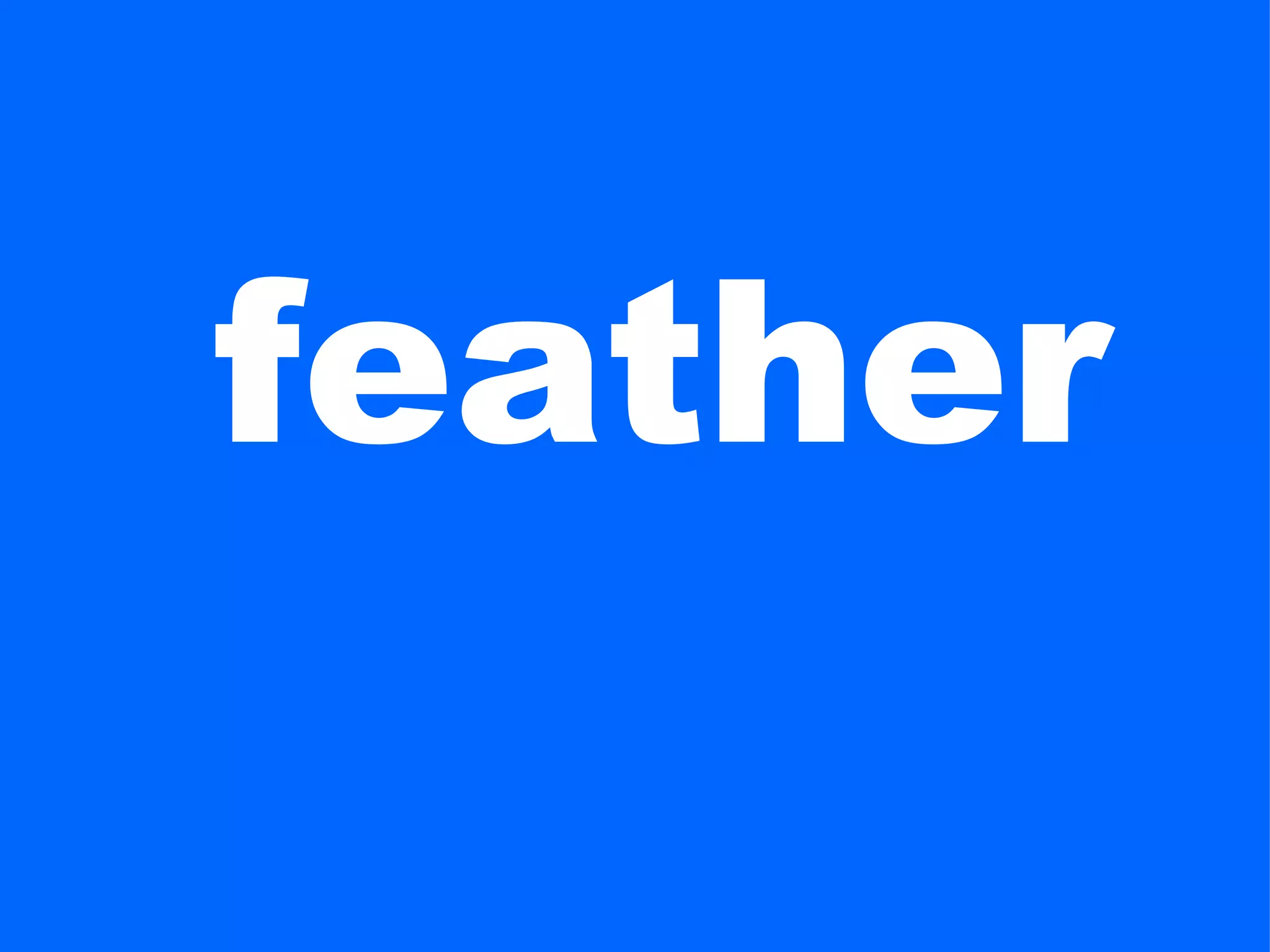 feather
 