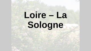 Loire – La
Sologne
 