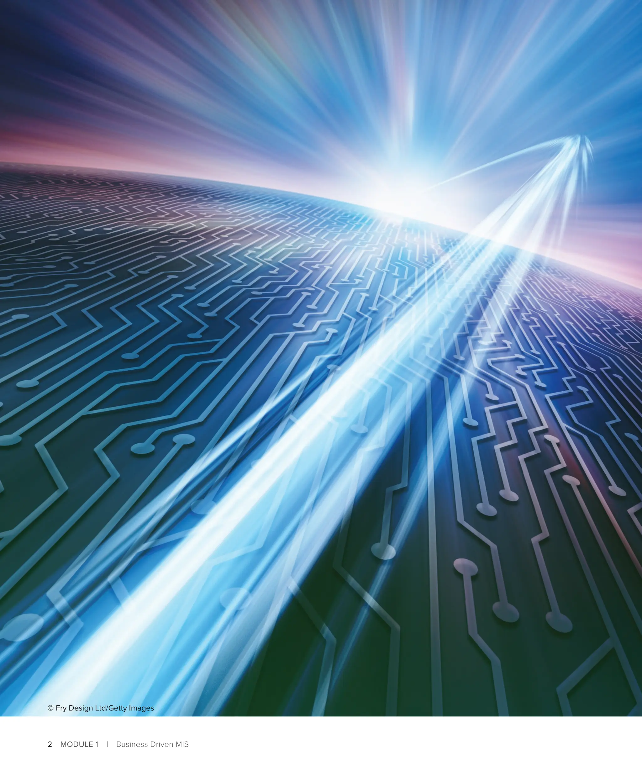 2 MODULE 1 | Business Driven MIS
© Fry Design Ltd/Getty Images
 