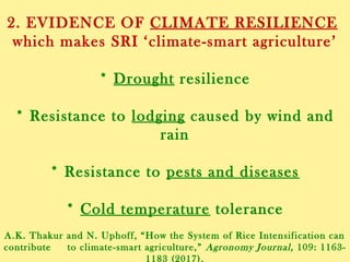 2. EVIDENCE OF CLIMATE RESILIENCE
which makes SRI ‘climate-smart agriculture’
* Drought resilience
* Resistance to lodging caused by wind and
rain
* Resistance to pests and diseases
* Cold temperature tolerance
A.K. Thakur and N. Uphoff, “How the System of Rice Intensification can
contribute to climate-smart agriculture,” Agronomy Journal, 109: 1163-
1183 (2017).
 