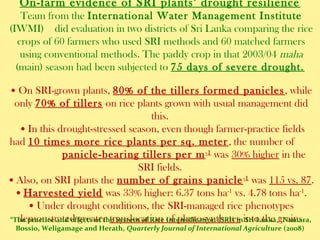 On-farm evidence of SRI plants’ drought resilience
Team from the International Water Management Institute
(IWMI) did evalu...
