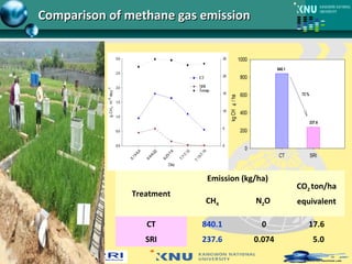 Comparison of methane gas emissionComparison of methane gas emission
CT SRI
kgCH4/ha
0
200
400
600
800
1000
840.1
237.6
72 %
Treatment
Emission (kg/ha)
CO2 ton/ha
equivalentCH4 N2O
CT 840.1 0 17.6
SRI 237.6 0.074 5.0
 