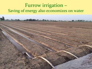 Furrow irrigation –
Saving of energy also economizes on water
 