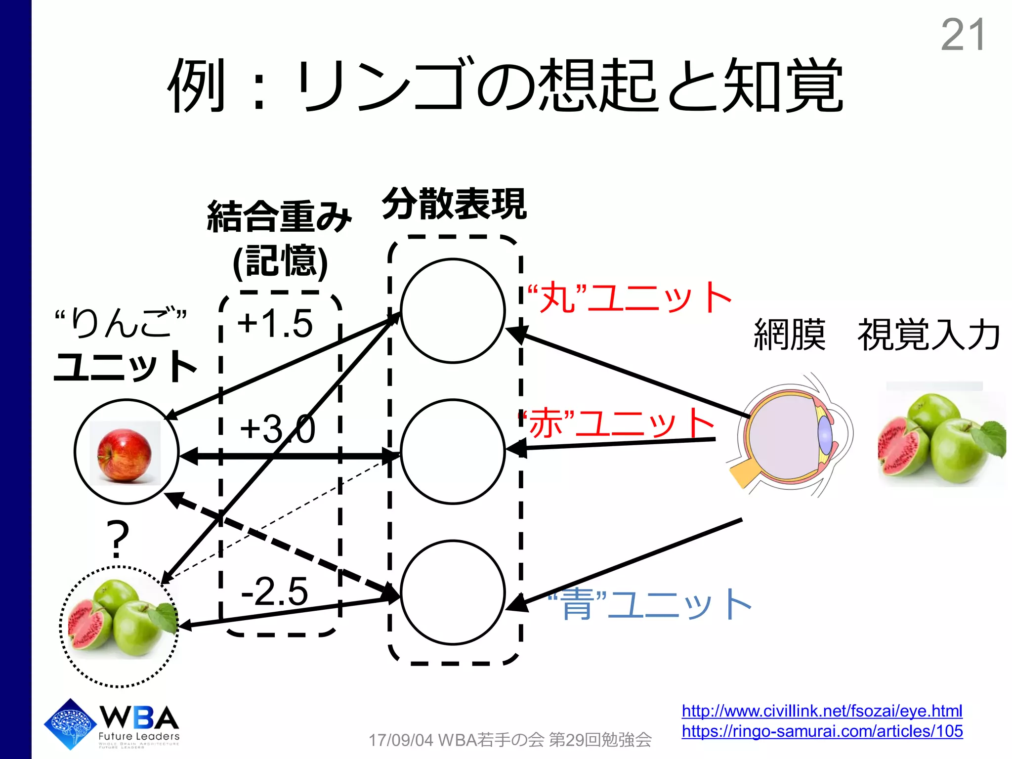 21
例：リンゴの想起と知覚
17/09/04 WBA若手の会 第29回勉強会
“りんご”
ユニット
+1.5
+3.0
-2.5
結合重み
(記憶)
“赤”ユニット
“青”ユニット
“丸”ユニット
http://www.civillink.net/fsozai/eye.html
https://ringo-samurai.com/articles/105
？
視覚入力網膜
分散表現
 
