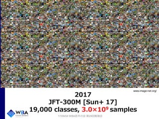 28
17/09/04 WBA若手の会 第29回勉強会
www.image-net.org/
2017
JFT-300M [Sun+ 17]
19,000 classes, 3.0×109 samples
 