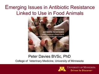 Emerging Issues in Antibiotic Resistance
Linked to Use in Food Animals
Peter Davies BVSc, PhD
College of Veterinary Medicine, University of Minnesota
 