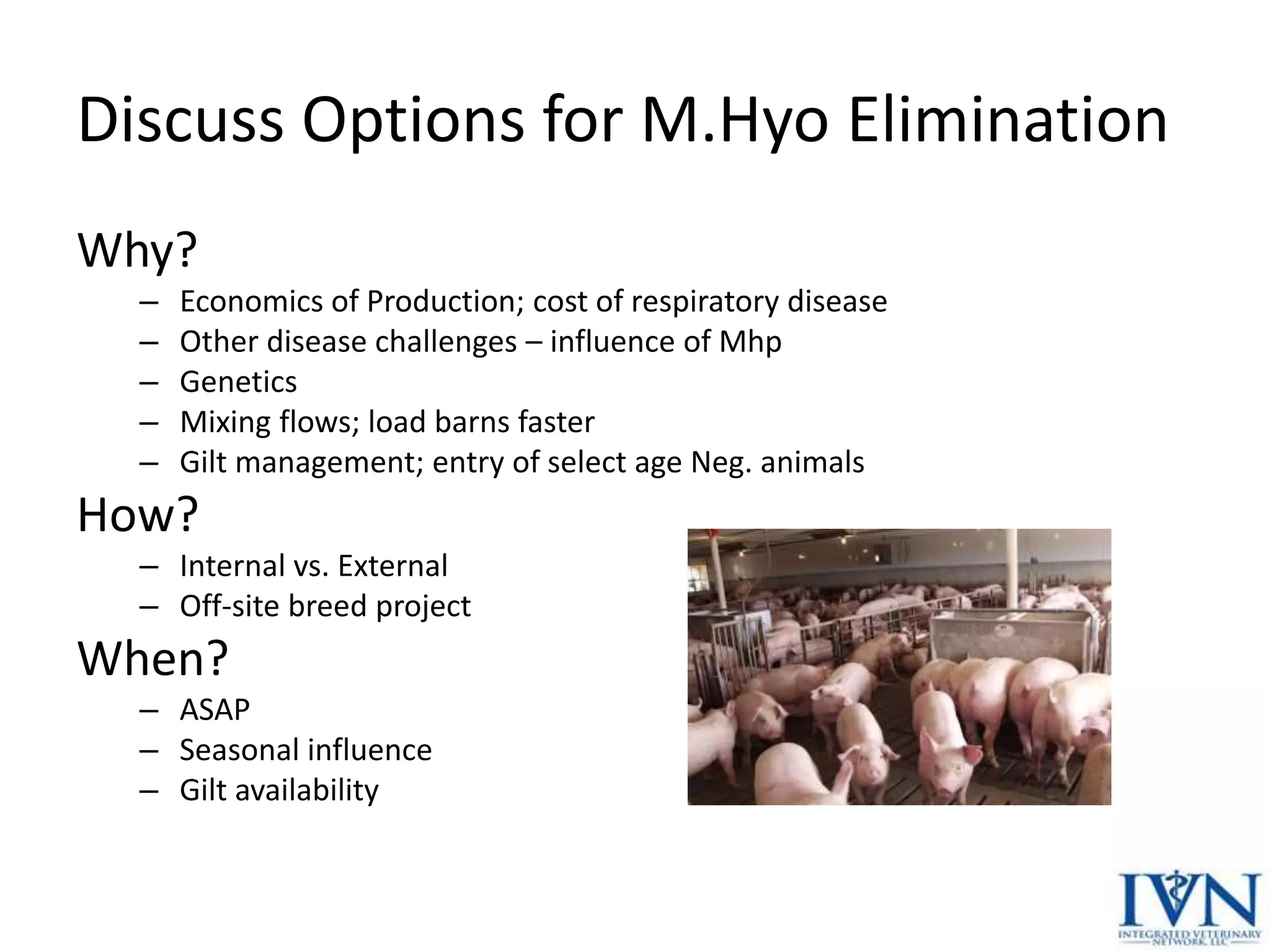 Dr. Bill Minton Experiences on Mycoplasma hyopneumoniae Elimination