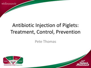 Antibiotic Injection of Piglets:
Treatment, Control, Prevention
Pete Thomas
 
