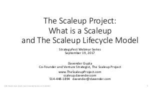 The Scaleup Project:
What is a Scaleup
and The Scaleup Lifecycle Model
StrategyFest Webinar Series
September 19, 2017
Davender Gupta
Co-Founder and Venture Strategist, The Scaleup Project
www.TheScaleupProject.com
scaleup.davender.com
514-448-1894 davender@davender.com
(c)2017 Davender Gupta. All rights reserved. davender@davender.com 514-448-1894 1
 