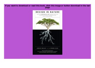 Technology and Social Organizations Design in Nature: How the Constructal Law Governs Evolution in Biology Physics