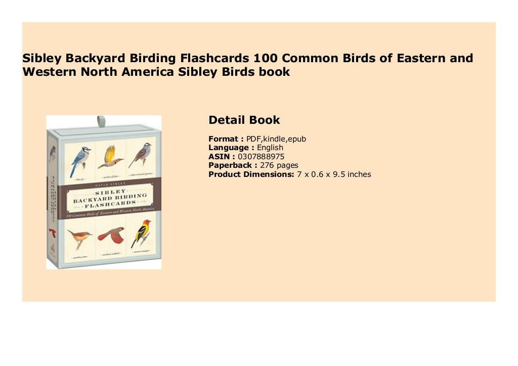 Sibley Backyard Birding Flashcards 100 Common Birds of Eastern and