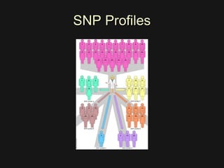 Snp Slender Single Nucleotide Polymorphism | PPT