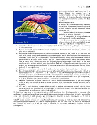 | 122
A p u n t e s d e b i o f í s i c a P á g i n a
La membrana basilar no llega hasta el final de la
cóclea dejando un espacio para la
intercomunicación del fluido entre la rampa
vestibular y la timpánica, llamado helicotrema
que tiene aproximadamente unos 0,3 mm 2 de
superficie.
Micromecánica coclear.
La pregunta es, ¿Qué ocurre cuando el estribo
golpea sobre la ventana oval? La secuencia de
acciones sucesivas que se desarrollan puede
enumerarse así:
1. Cuando el estribo se desplaza, mueve a
la perilinfa de la rampa vestibular.
2. El movimiento de la perilinfa genera
movimientos en la membrana de Reissner.
3. El movimiento de la membrana de
Reissner se transmite a la endolinfa de la rampa
media y por lo tanto a la membrana basilar
4. La membrana basilar transmite el movimiento a la perilinfa de la rampa timpánica y al tímpano secundario en
la ventana redonda.
5. Cuando se mueve la membrana basilar, las células pilosas son desplazadas hacia la membrana tectorial y sus
cilios chocan contra ésta.
6. En reposo el potencial de membrana de las células pilosas es de unos 60 mV. Debido al roce mecánico, los
cilios de las células pilosas se deforman generando cambios en la tensión de la membrana plasmática, lo cual
modifica la conductancia de los canales de K + sensibles a la distensión, provocando cambios en el potencial
de membrana de las células pilosas. Debido a que el K + predomina en endolinfa cuando los canales se abren
fluye al interior de la célula produciendo una despolarización de la membrana celular. Esto a su vez, abre
canales de Ca 2+ sensibles a voltaje y con la entrada de Ca 2+ a la célula se libera un neurotransmisor en la
sinapsis con la primera neurona aferente. En cuanto a la naturaleza del neurotransmisor liberado, existe
evidencia de que es glutamato.
7. Cuando los estereocilios se inclinan en la dirección contraria se produce el cierre de los canales abiertos.
8. 8La entrada de de Ca 2+ , además de desencadenar la liberación del neurotransmisor (glutamato), estimula la
apertura de canales de K + sensibles a Ca 2+ , los cuales se encuentran también predominantemente en su
superficie basolateral, en contacto con perilinfa; como el potencial electroquímico favorece la salida de K +
en este sitio porque la concentración de este ion es más elevada en el interior de la célula que en la perilinfa,
el K + fluye al exterior de la célula y esta tiende a repolarizarse por este efecto.
9. 9Además, también por acción de la entrada de calcio se activa una bomba de de Ca 2+ que utiliza energía
(gasto de ATP) para transportar este ion desde el interior de la célula hacia el exterior, en contra de su
gradiente.
10. 10En las CPE particularmente, el de Ca 2+ tiene otro efecto adicional, porque puede activar la fosforilación de
ciertas proteínas del citoesqueleto para estimulan el movimiento celular, como parte del proceso de
transducción de la señal como se explicará más adelante.
Un factor muy importante en el mecanismo que permite la apertura o cierre de estos canales en respuesta a los
cambios en la tensión de la membrana, es la relación que existe entre estereocilios vecinos, los cuales están unidos
entre sí por estructuras de tejido conectivo que forman puentes de unión, los cuales hacen que si uno de ellos se
mueve en una dirección los demás deban hacerlo también.
Cada CPI puede estar en contacto con varias fibras aferentes (divergencia), de modo que las 3.500 CPI existentes
contactan con aproximadamente 20.000 fibras aferentes primarias. Por otro lado, varias CPE contactan con una sola
fibra aferente, de modo que 20.000 CPE están en contacto con solamente 1.000 fibras aferentes primarias
(convergencia).
 