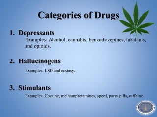 Categories of Drugs
1. Depressants
Examples: Alcohol, cannabis, benzodiazepines, inhalants,
and opioids.
2. Hallucinogens
Examples: LSD and ecstasy.
3. Stimulants
Examples: Cocaine, methamphetamines, speed, party pills, caffeine.
 