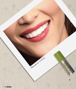 Catálogo amway 08-09