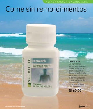 Catálogo amway 08-09
