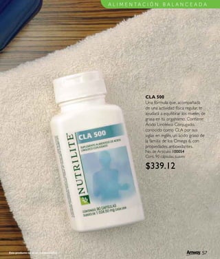 Catálogo amway 08-09