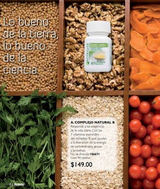 Catálogo amway 08-09