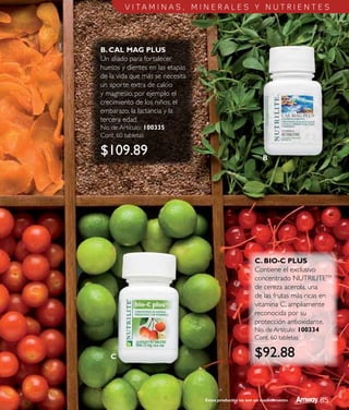 Catálogo amway 08-09