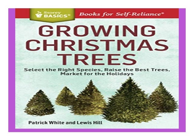 growing christmas trees