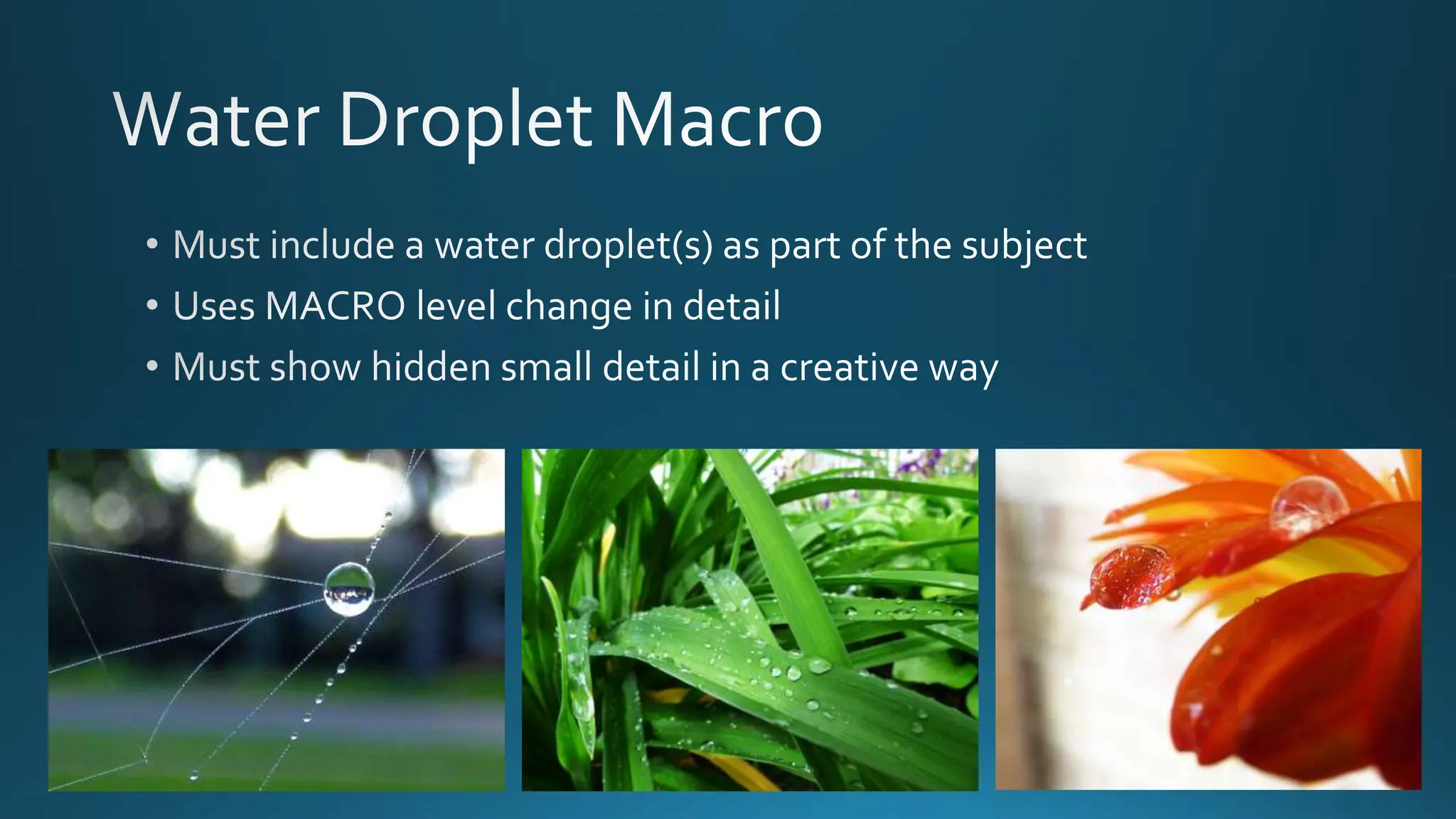 Digital Photography - Final Project Overview.pptx