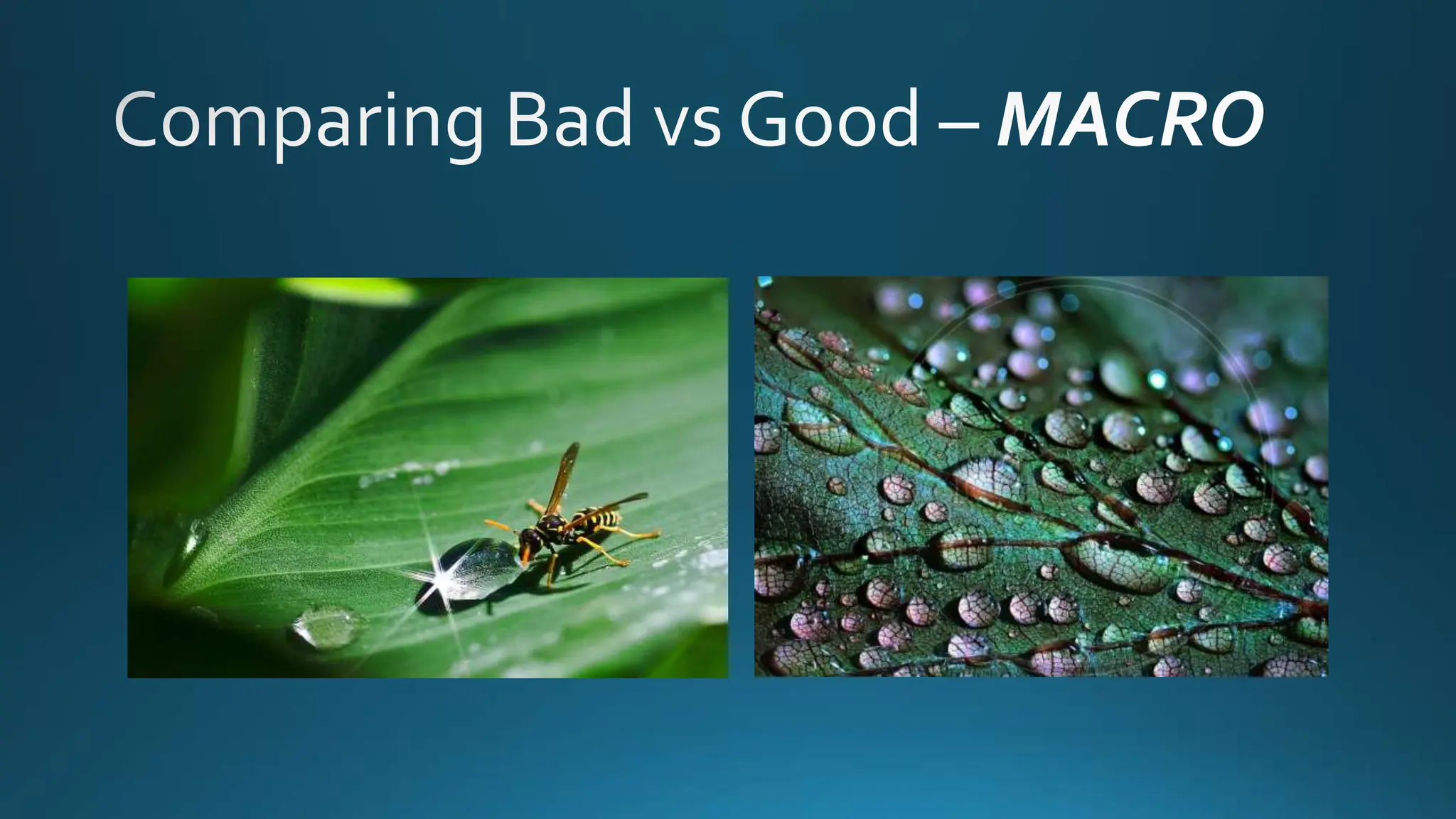 Digital Photography - Final Project Overview.pptx