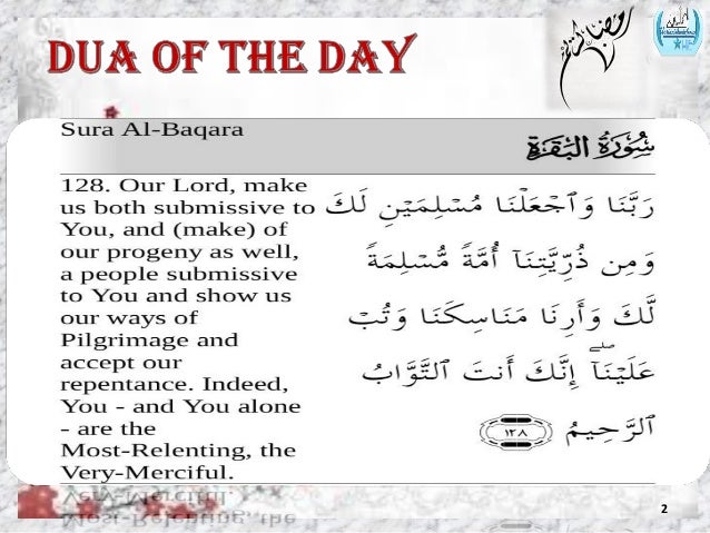 DUA OF THE DAY (29 SUPPLICATIONS)