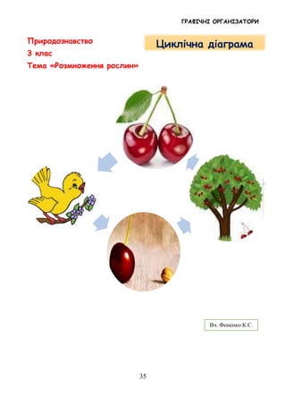 ГРАФІЧНІ ОРГАНІЗАТОРИ
35
Природознавство
3 клас
Тема «Розмноження рослин»
Вч. Фененко К.С.
Циклічна діаграма
 