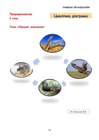 ГРАФІЧНІ ОРГАНІЗАТОРИ
36
Природознавство
3 клас
Тема «Ланцюг живлення»
Вч. Ковальова В.В.
Циклічна діаграма
 