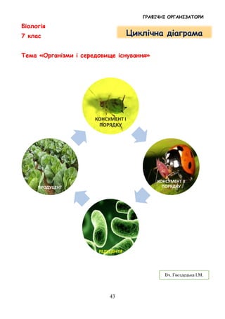ГРАФІЧНІ ОРГАНІЗАТОРИ
43
Біологія
7 клас
Тема «Організми і середовище існування»
КОНСУМЕНТ І
ПОРЯДКУ
КОНСУМЕНТ ІІ
ПОРЯДКУ
РЕДУЦЕНТИ
ПРОДУЦЕНТ
Циклічна діаграма
Вч. Гвоздецька І.М.
 