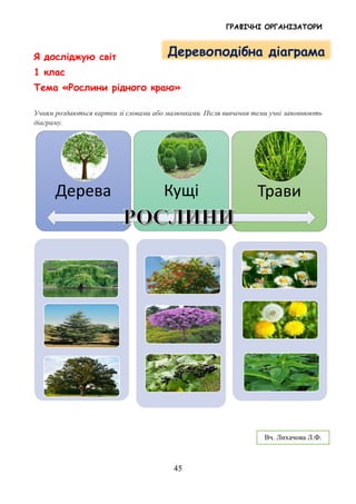 ГРАФІЧНІ ОРГАНІЗАТОРИ
45
Я досліджую світ
1 клас
Тема «Рослини рідного краю»
Учням роздаються картки зі словами або малюнками. Після вивчення теми учні заповнюють
діаграму.
Дерева Кущі Трави
Деревоподібна діаграма
Вч. Лихачова Л.Ф.
 
