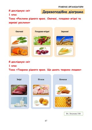 ГРАФІЧНІ ОРГАНІЗАТОРИ
47
Я досліджую світ
1 клас
Тема «Рослини рідного краю. Овочеві, плодово-ягідні та
зернові рослини»
Я досліджую світ
1 клас
Тема «Тварини рідного краю. Що дають тварини людям»
Овочеві Плодово-ягідні Зернові
Звірі Птахи Комахи
Деревоподібна діаграма
Вч. Лихачова Л.Ф.
 