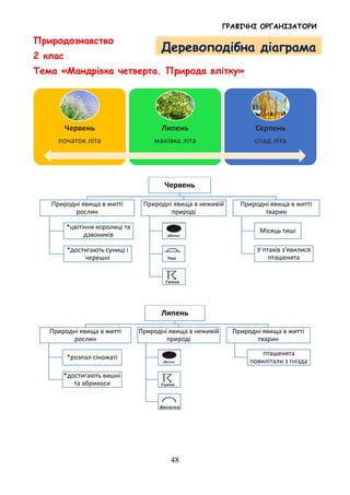 ГРАФІЧНІ ОРГАНІЗАТОРИ
48
Природознавство
2 клас
Тема «Мандрівка четверта. Природа влітку»
Червень
початок літа
Липень
маківка літа
Серпень
спад літа
Червень
Природні явища в житті
рослин
*цвітіння королиці та
дзвоників
*достигають суниці і
черешні
Природні явища в неживій
природі
Природні явища в житті
тварин
Місяць тиші
У птахів з'явилися
пташенята
Липень
Природні явища в житті
рослин
*розпал сіножаті
*достигають вишні
та абрикоси
Природні явища в неживій
природі
Природні явища в житті
тварин
пташенята
повилітали з гнізда
Деревоподібна діаграма
 