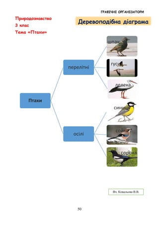 ГРАФІЧНІ ОРГАНІЗАТОРИ
50
Природознавство
3 клас
Тема «Птахи»
Птахи
перелітні
шпак
гуси
лелека
осілі
синиця
сойка
сорока
Деревоподібна діаграма
Вч. Ковальова В.В.
 