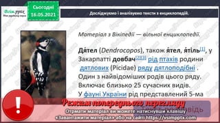 2 клас. НУШ. Українська мова. Большакова. Урок 171