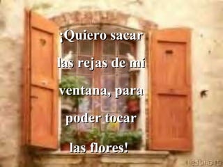 ¡Quiero sacar las rejas de mi ventana, para poder tocar las flores!   