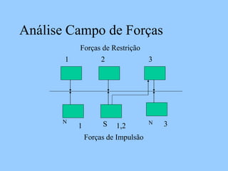 Análise Campo de Forças
Forças de Restrição
Forças de Impulsão
N
S N
1 2 3
1 1,2 3
 