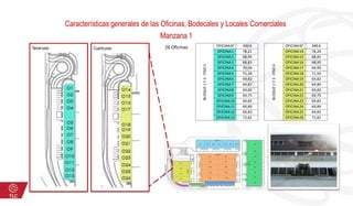 Características generales de las Oficinas, Bodecales y Locales Comerciales
Manzana 1
26 Oficinas
BLOQUE1Y2-PISO3
OFICINAN° ÁREA
OFICINA1 78,21
OFICINA2 68,99
OFICINA3 68,83
OFICINA4 70,04
OFICINA5 71,34
OFICINA6 69,82
OFICINA7 69,87
OFICINA8 69,82
OFICINA9 69,75
OFICINA10 69,82
OFICINA11 69,89
OFICINA12 69,83
OFICINA13 72,82
BLOQUE1Y2-PISO4
OFICINAN° ÁREA
OFICINA14 78,26
OFICINA15 68,95
OFICINA16 68,95
OFICINA17 69,95
OFICINA18 71,50
OFICINA19 69,82
OFICINA20 69,89
OFICINA21 69,82
OFICINA22 69,75
OFICINA23 69,82
OFICINA24 69,89
OFICINA25 69,83
OFICINA26 72,82
Tercerpiso Cuarto piso
 