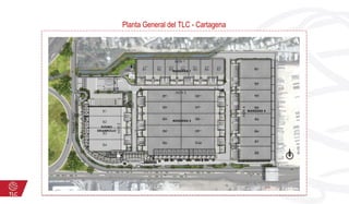 Planta General del TLC - Cartagena
 