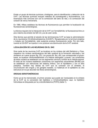 Existe un grupo de técnicas químicas y biológicas, para la identificación y detección de la
5-HT. Las técnicas químicas incluyen métodos de cromatografía y fluorométricos. Los
bioensayos más comunes son con la contracción del útero de rata, o la contracción del
corazón de venus mercenaria.

En 1966, Hillarp establece las técnicas de fluorescencia que permiten la localización de
fluorescencias serotonérgicas.

La técnica requiere de la interacción de la 5-HT con formaldehído; la fluorescencia time un
pico máximo de emisión de 525 nm y es de color verde.

Otra técnica que permite el estudio de las terminaciones 5-HT se basa la administración
de la neurotoxina 5,6-dihidroxitriptamina (5,6-DHT). Recapturada por la terminal sináptica
y tratada con formaldehído, esta sustancia produce fluorescencia verde. Por otro lado,
cuando la 5,6-DHT se inyecta in vivo produce una disminución de la 5-HT cerebral.

LOCALIZACIÓN DE LAS NEURONAS EN EL SNC

Gran parte de las neuronas 5-HT se localizan en los núcleos del rafé Dehlstrom y Füxe,
mapearon los núcleos serotonérgicos del tallo cerebral de la formación reticulada y los
dividieron en nueve grupos (fig. 23). Los grupos BI, Bs y B3, que corresponden al grupo-
basal, se localizan ventromedialmente a la médula oblongada y puente. Las conexiones
de estos núcleos se establecen con los segmentos cervical y lumbar de la médula espinal.
El resto de los núcleos establecen conexiones con segmentos ascendentes (B4-B9) que
se establecen con estructuras del sistema límbico, con el hipotálamo y con el área
preóptica. También hay células de 5-HT que se conectan con el cerebelo, la
circunvolución del cíngulo y los ganglios basales. La habénula en el epitálamo es otra
estructura en la que abundan las fibras serotonérgicas.

DROGAS SEROTONÉRGICAS

Como ya se ha mencionado, el primer proceso que puede ser manipulado en la síntesis
de la 5-HT es la conversión del triptófano a S-hidroxitriptófano; aquí, la triptófano
hidroxilasa es bloqueada por la p-clorofenilalanina (PCPA) (tabla 1).




                                                                                        55
 