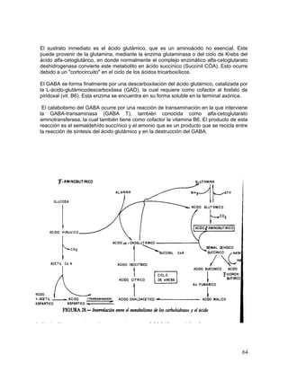 El sustrato inmediato es el ácido glutámico, que es un aminoácido no esencial. Este
puede provenir de la glutamina, mediante la enzima glutaminasa o del ciclo de Krebs del
ácido alfa-cetoglutárico, en donde normalmente el complejo enzimático alfa-cetoglutarato
deshidrogenasa convierte este metabolito en ácido succínico (Succinil CÓA). Esto ocurre
debido a un "cortocircuito" en el ciclo de los ácidos tricarboxílicos.

El GABA se forma finalmente por una descarboxilación del ácido glutámico, catalizada por
la L-ácido-glutámicodescarboxilasa (GAD), la cual requiere como cofactor al fosfato de
piridoxal (vit. B6). Esta enzima se encuentra en su forma soluble en la terminal axónica.

 El catabolismo del GABA ocurre por una reacción de transaminación en la que interviene
la GABA-transaminasa (GABA T), también conocida como alfa-cetoglutarato
aminotransferasa, la cual también tiene como cofactor la vitamina B6. El producto de esta
reacción es el semialdehído succínico y el amonio que es un producto que se recicla entre
la reacción de síntesis del ácido glutámico y en la destrucción del GABA.




                                                                                      64
 