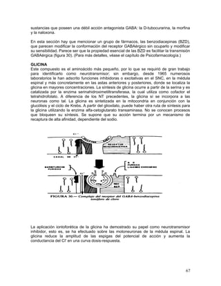 sustancias que poseen una débil acción antagonista GABA: la D-tubocurarina, la morfina
y la naloxona.

En esta sección hay que mencionar un grupo de fármacos, las benzodiacepinas (BZD),
que parecen modificar la conformación del receptor GABAérgico sin ocuparlo y modificar
su sensibilidad. Parece ser que la propiedad esencial de las BZD es facilitar la transmisión
GABAérgica (figura 30). (Para más detalles, véase el capítulo de Psicofarmacología.)

GLICINA
Este compuesto es el aminoácido más pequeño, por lo que se requirió de gran trabajo
para identificarlo como neurotransmisor; sin embargo, desde 1965 numerosos
laboratorios le han adscrito funciones inhibidoras o excitativas en el SNC, en la médula
espinal y más concretamente en las astas anteriores y posteriores, donde se localiza la
glicina en mayores concentraciones. La síntesis de glicina ocurre a partir de la serina y es
catalizada por la enzima serinahidroximetiltransferasa, la cual utiliza como cofactor el
tetrahidrofolato. A diferencia de los NT precedentes, la glicina sí se incorpora a las
neuronas como tal. La glicina es sintetizada en la mitocondria en conjunción con la
glucólisis y el ciclo de Krebs. A partir del glioxilato, puede haber otra ruta de síntesis para
la glicina utilizando la enzima alfa-cetoglutarato transaminasa. No se conocen procesos
que bloqueen su síntesis. Se supone que su acción termina por un mecanismo de
recaptura de alta afinidad, dependiente del sodio.




La aplicación iontoforética de la glicina ha demostrado su papel como neurotransmisor
inhibidor, esto es, se ha efectuado sobre las motoneuronas de la médula espinal. La
glicina reduce la amplitud de las espigas del potencial de acción y aumenta la
conductancia del CI' en una curva dosis-respuesta.




                                                                                            67
 