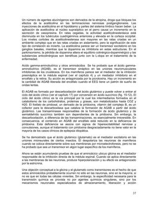 Un número de agentes alucinógenos son derivados de la atropina, droga que bloquea los
efectos de la acetilcolina en las terminaciones nerviosas postganglionares. Las
inyecciones de acetilcolina en el hipotálamo y partes del sistema límbico hacen beber. La
aplicación de acetilcolina al núcleo supraóptico en el perro causa un incremento en la
secreción de vasopresina. En ratas cegadas, la actividad acetilcolinesterásica está
disminuida en los tubérculos cuadrigéminos anteriores y elevada en la corteza occipital.
Los niveles corticles de acetilcolinesterasa son mayores en las ratas criadas en un
ambiente complejo que en las ratas criadas en aislamiento, pero la significación de este
tipo de correlación es incierto. La acetilcolina parece ser un transmisor excitatorio en los
ganglios basales, mientras que la dopamina es inhibitoria en estas estructuras. En el
parkinsonismo, la pérdida de dopamina altera el equilibrio colinérgico-dopaminérgico y las
substancias anticolinérgicas son benéficas junto con la L-dopa en el tratamiento de la
enfermedad.

Acido gamma-aminobutírico y otros aminoácidos Se ha probado que el ácido gamma-
aminobutírico (AGAB), es el transmisor sináptico en las uniones neuromusculares
inhibitorias de los crustáceos. En los mamíferos parece ser el mediador de la inhibición
presináptica en la médula espinal (ver el capítulo 4) y un mediador inhibitorio en el
encéfalo y la retina. Su acción es antagonizada por la picrotoxina. Hay un incremento en
la cantidad de AGAB liberada del encéfalo cuando el EEG tiene un patrón de sueño de
ondas lentas.

El AGAB es formado por descarboxilación del ácido glutámico y puede volver a entrar al
ciclo del ácido cítrico (ver el capítulo 17) por conversión en ácido succínico (fig. 15-12). El
ciclo del ácido cítrico es la vía principal por la cual los intermediarios formados en el
catabolismo de los carbohidratos, proteínas y grasas, son metabolizados hasta COZ y
H20. El fosfato de piridoxal, un derivado de la piridoxina, vitamín del complejo B, es un
cofactor para la descarboxilasa que cataliza la formación de AGAB a partir del ácido
glutámico. Las transaminasas responsables de la formación de ácido glutámico y de
semialdehído succínico también son dependientes de la piridoxina. Sin embargo, la
descarboxilación, a diferencia de las transaminaciones, es esencialmente irreversible. En
consecuencia, el contenido en AGAB del encéfalo está reducido en la deficiencia de
piridoxina. Esta deficiencia se asocia con signos de hiperexcitabilidad nerviosa y
convulsiones, aunque el tratamiento con piridoxina desgraciadamente no tiene valor en la
mayoría de los casos clínicos de epilepsia idiopática.

Se ha demostrado que el ácido glutámico (glutamato) es el mediador excitatorio en las
uniones mioneurales de ciertos insectos. El despolariza las neuronas de mamíferos
cuando se coloca directamente sobre sus membranas por microelectroforesis, pero no se
ha probado que sea un transmisor en algún lugar específico de los mamíferos.

Ahora se están acumulando pruebas de que el aminoácico ubicuo glicina es el mediador
responsable de la inhibición directa de la médula espinal. Cuando se aplica directamente
a las membranas de las neuronas, produce hiperpolarización y su efecto es antagonizado
por la estricnina.

Una objeción conceptual a la glicina y el glutamato como transmisores es el hecho de que
estos aminoácidos probablemente ocurren no sólo en las neuronas, sino en la mayoría, si
no es que en todas las células vivientes. Sin embargo, la especificidad necesaria para la
transmisión química es provista no por agentes químicos singulares, sino por los
mecanismos neuronales especializados de almacenamiento, liberación y acción


                                                                                            37
 