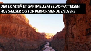 DERERALTSÅETGAPIMELLEMSELVOPFATTELSEN
HOSSÆLGEROGTOPPERFORMENDESÆLGERE
 