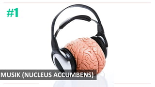 MUSIK (NUCLEUS ACCUMBENS)
#1
 