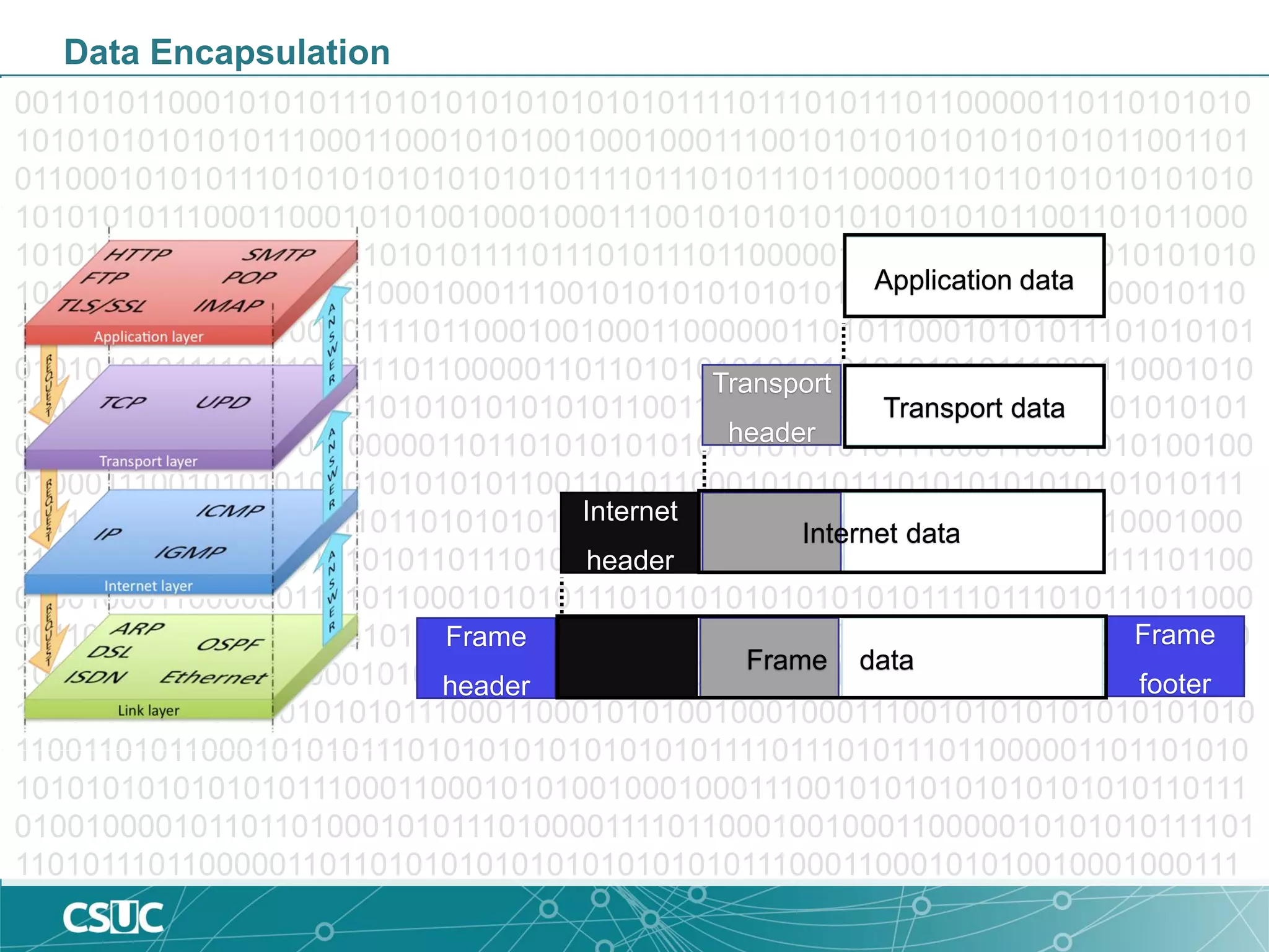 001101011000101010111010101010101010101111011101011101100000110110101010
10101010101010111000110001010100100010001110010101010101010101011001101
011000101010111010101010101010101111011101011101100000110110101010101010
10101010111000110001010100100010001110010101010101010101011001101011000
101010111010101010101010101111011101011101100000110110101010101010101010
10111000110001010100100010001110010101010101010101011011101001000010110
110100010101110100001111011000100100011000000110101100010101011101010101
010101010111101110101110110000011011010101010101010101010111000110001010
10010001000111001010101010101010101100110101100010101011101010101010101
010111101110101110110000011011010101010101010101010111000110001010100100
01000111001010101010101010101100110101100010101011101010101010101010111
10111010111011000001101101010101010101010101011100011000101010010001000
111001010101010101010101101110100100001011011010001010111010000111101100
010010001100000011010110001010101110101010101010101011110111010111011000
00110110101010101010101010101110001100010101001000100011100101010101010
101010110011010110001010101110101010101010101011110111010111011000001101
10101010101010101010101110001100010101001000100011100101010101010101010
110011010110001010101110101010101010101011110111010111011000001101101010
10101010101010101110001100010101001000100011100101010101010101010110111
010010000101101101000101011101000011110110001001000110000010101010111101
11010111011000001101101010101010101010101011100011000101010010001000111
Data Encapsulation
Application data
Transport data
Transport
header
Internet
header
Internet data
Frame data
Frame
header
Frame
footer
 
