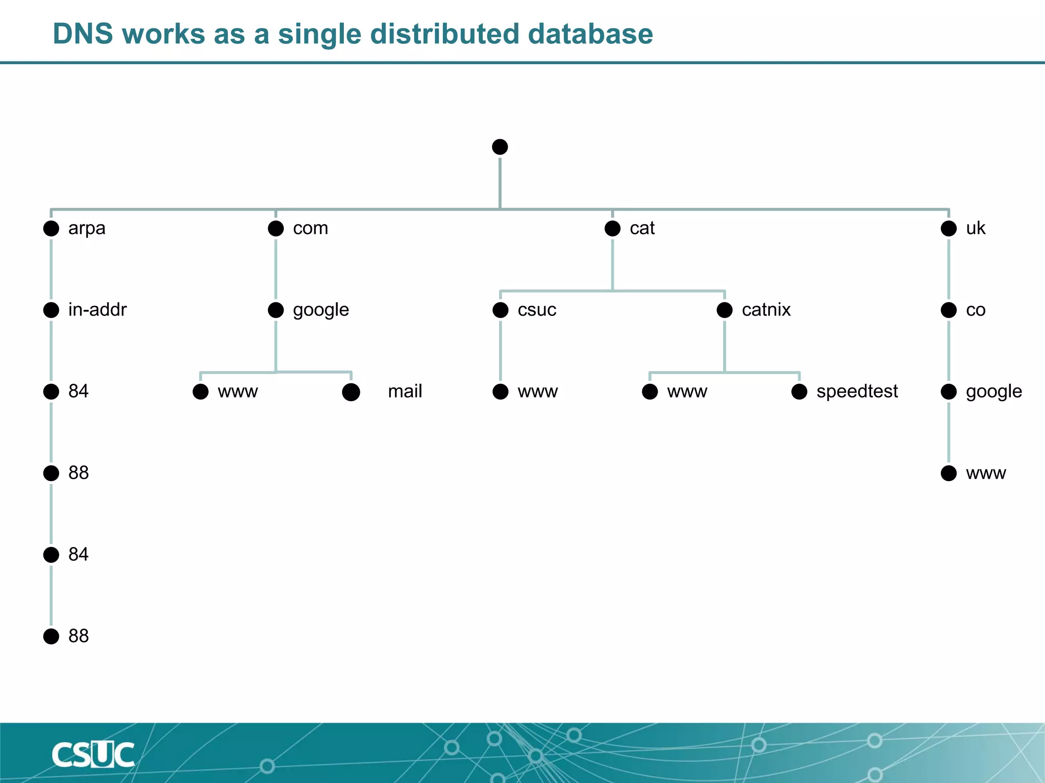 DNS works as a single distributed database
arpa
in-addr
84
88
84
88
com
google
www mail
cat
csuc
www
catnix
www speedtest
uk
co
google
www
 