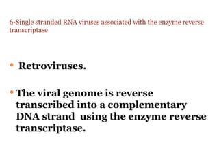 Virus Rna Reverse Transcriptase VIRUSES structure and classification and | PPTX