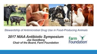 2017 NIAA Antibiotic Symposium
Joe Swedberg
Chair of the Board, Farm Foundation
Stewardship of Antimicrobial Drug Use in Food-Producing Animals
 